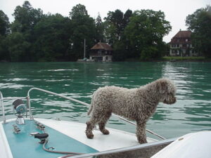 Auf dem Bug von unserem Boot hatte Zaira den guten Überblick was da so auf dem See passiert
